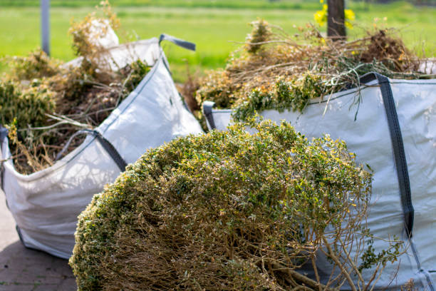 Trusted Celebration, FL Junk Removal Services Experts