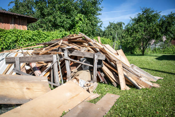 Shed Removal in Celebration, FL